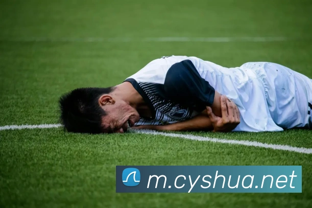 xpj官网服务体系